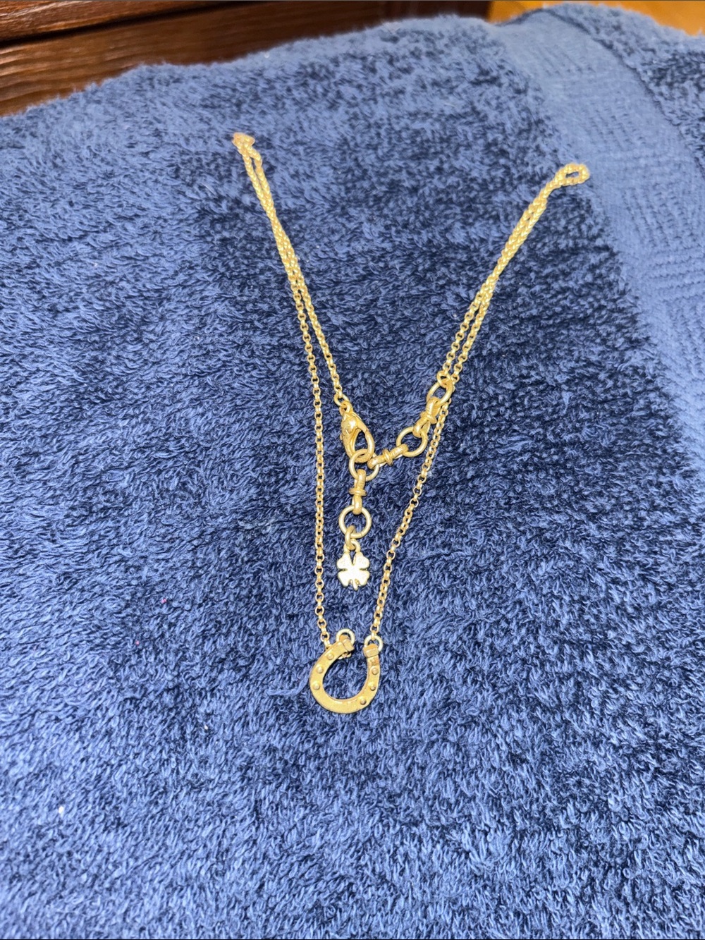 Lucky Brand Gold Horseshoe & Clover Layered Necklace